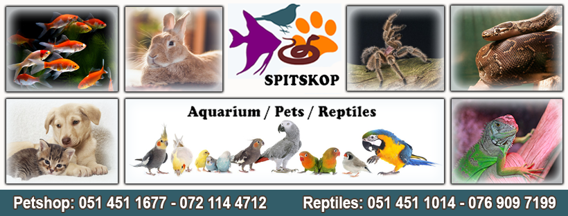 Spitskop Aquarium / Pets / Reptiles